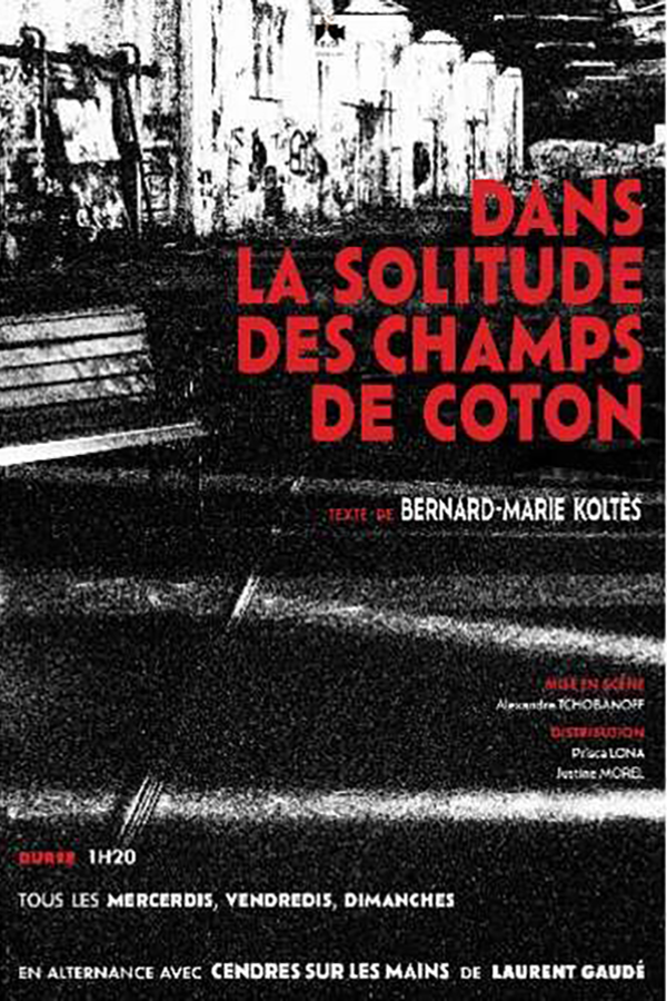 Dans la Solitude des Champs de Coton
