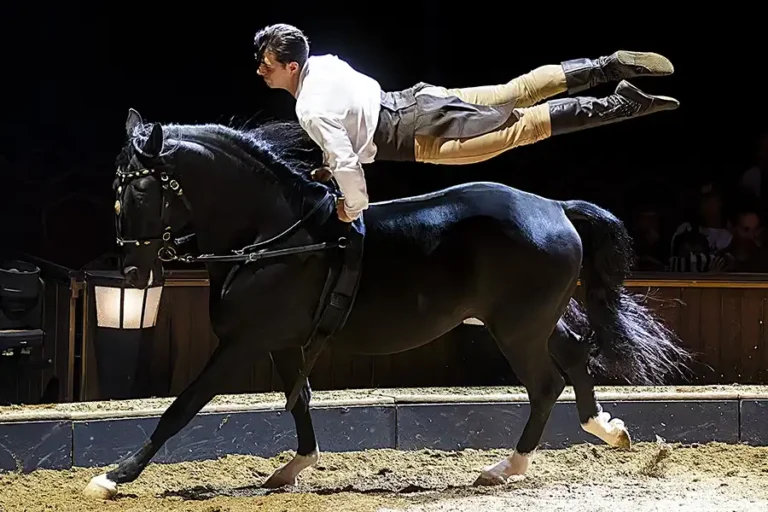 FOLIES-GRUSS-Paris-2025-2026